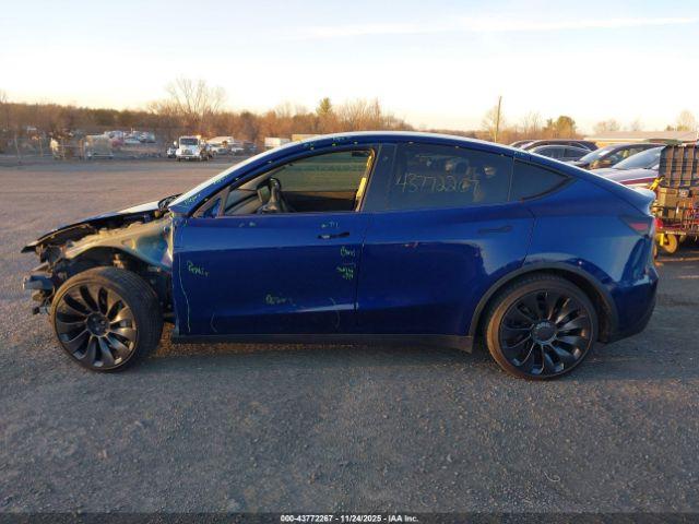 Tesla Model Y Image 15