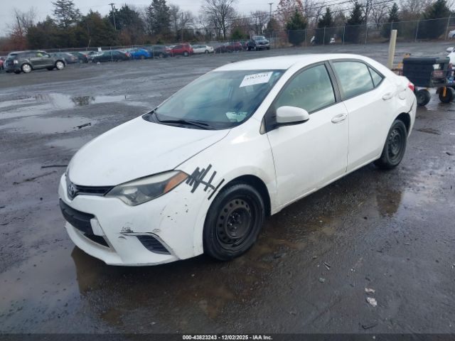 Toyota Corolla Le Image 14