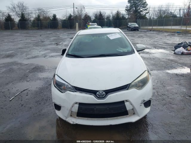 Toyota Corolla Le Image 13