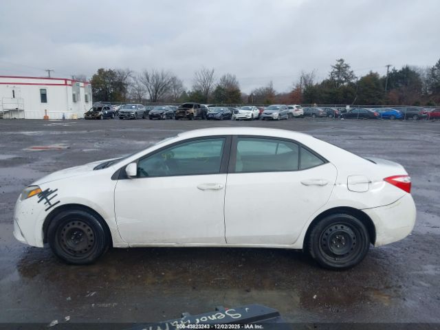 Toyota Corolla Le Image 5