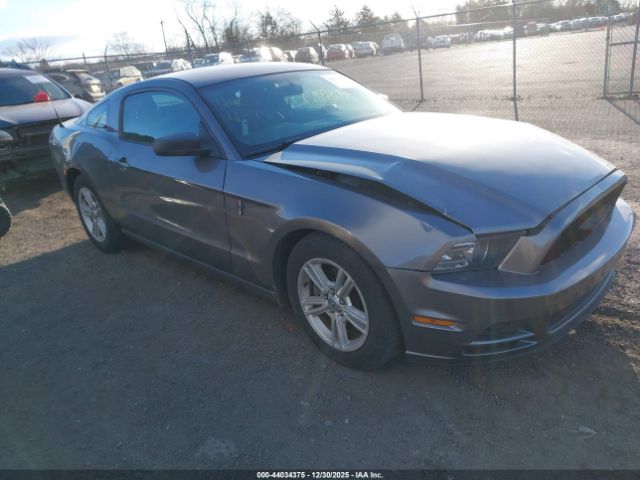 Ford Mustang V6 Image 1