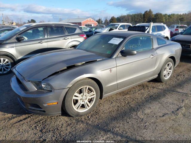 Ford Mustang V6 Image 8