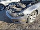 Ford Mustang V6 Image 12