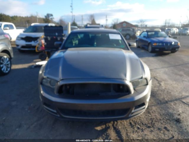 Ford Mustang V6 Image 7
