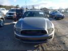 Ford Mustang V6 Image 7