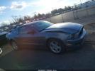 Ford Mustang V6 Image 14