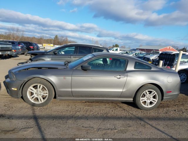 Ford Mustang V6 Image 2