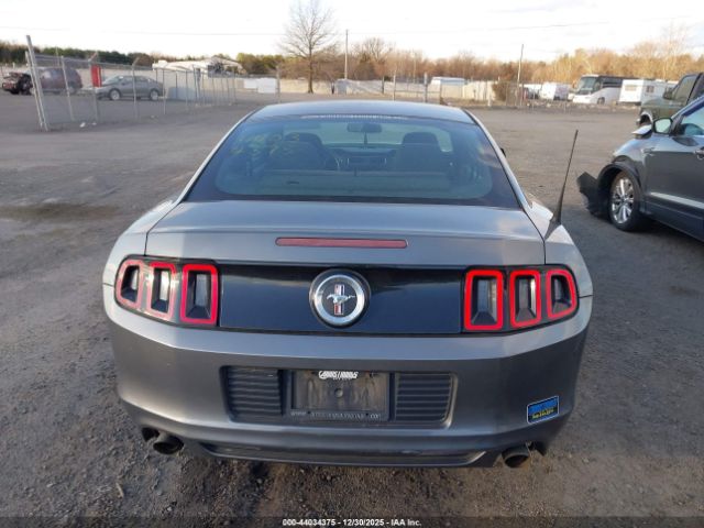 Ford Mustang V6 Image 19