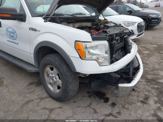 Ford F-150 Xlt Image 4