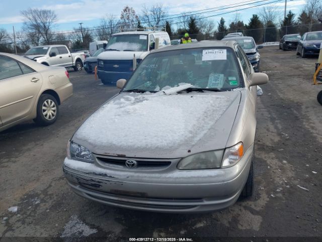 Toyota Corolla Ve Image 7