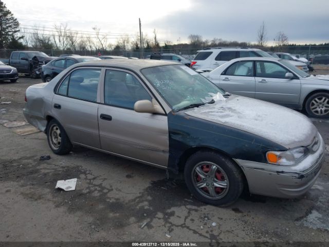 Toyota Corolla Ve Image 5