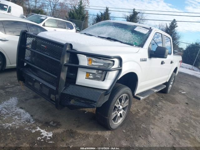 Ford F-150 Xl Image 2