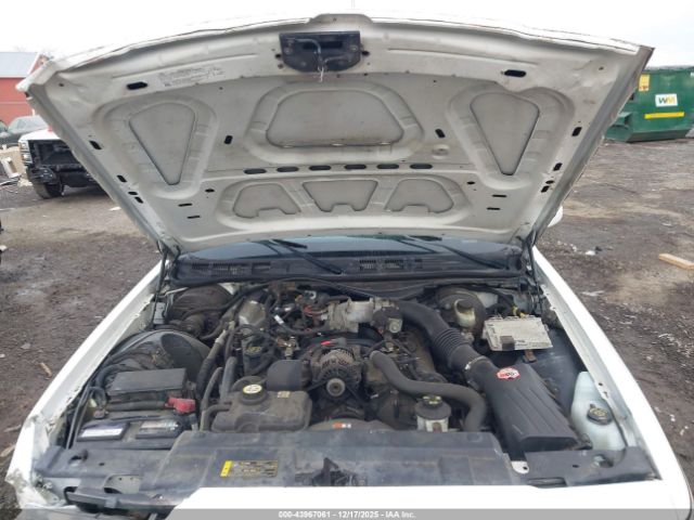 Ford Crown Victoria Image 10