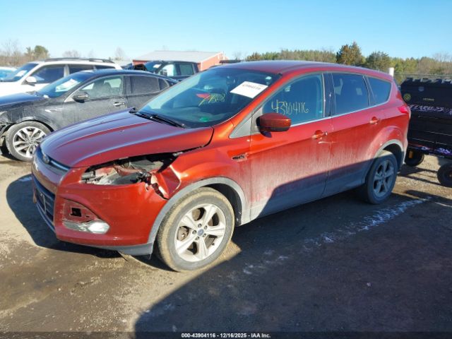 Ford Escape Se Image 4