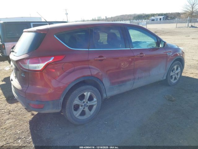 Ford Escape Se Image 2