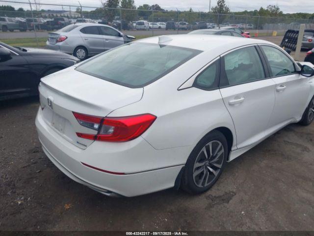 Honda Accord Ex-l Image 7