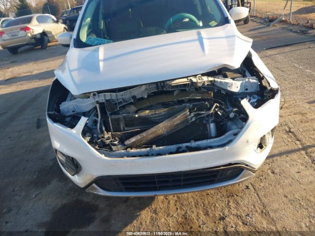 Ford Escape Sel Image 8