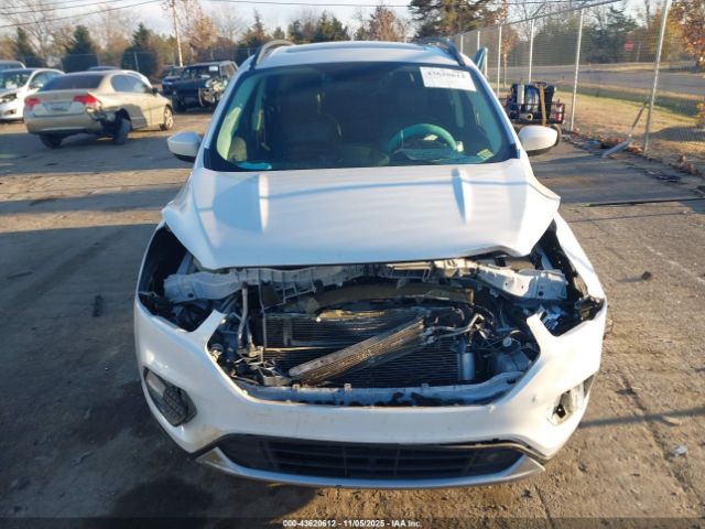 Ford Escape Sel Image 17