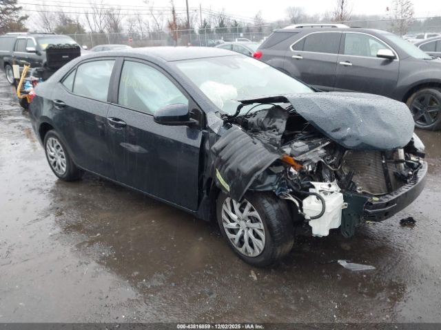 Toyota Corolla Le Image 1