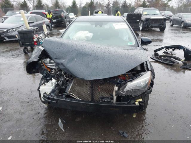 Toyota Corolla Le Image 3