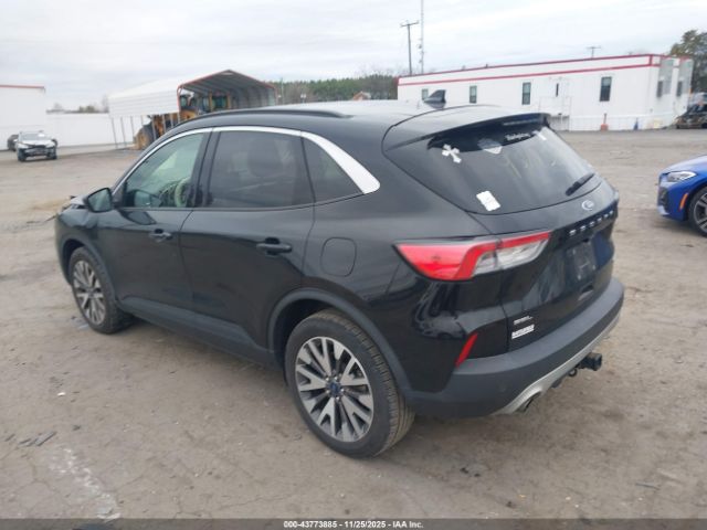 Ford Escape Sel Image 13