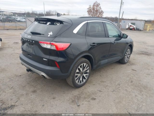 Ford Escape Sel Image 4