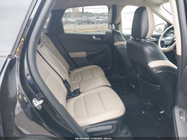 Ford Escape Sel Image 5