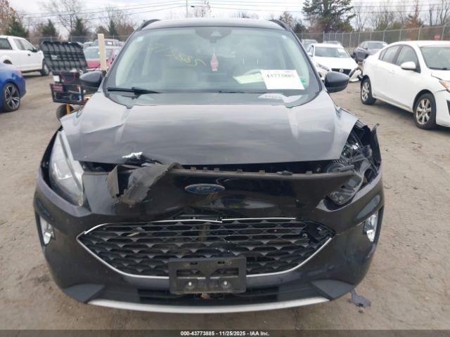 Ford Escape Sel Image 11