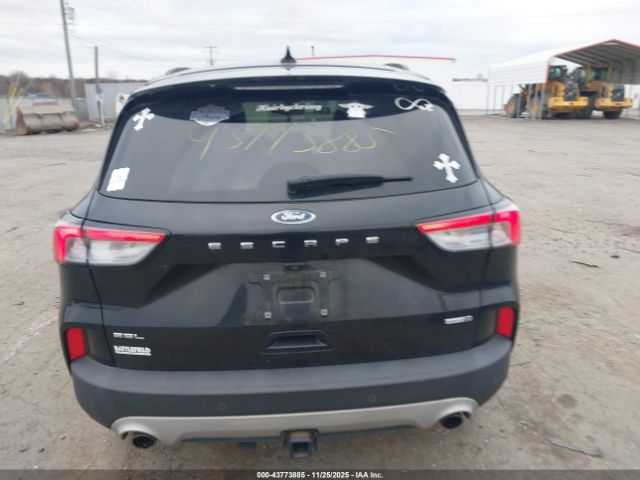 Ford Escape Sel Image 12