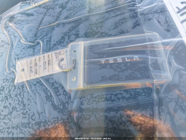 Tesla Model Y Long Range Dual Motor All-wheel Drive Image 5