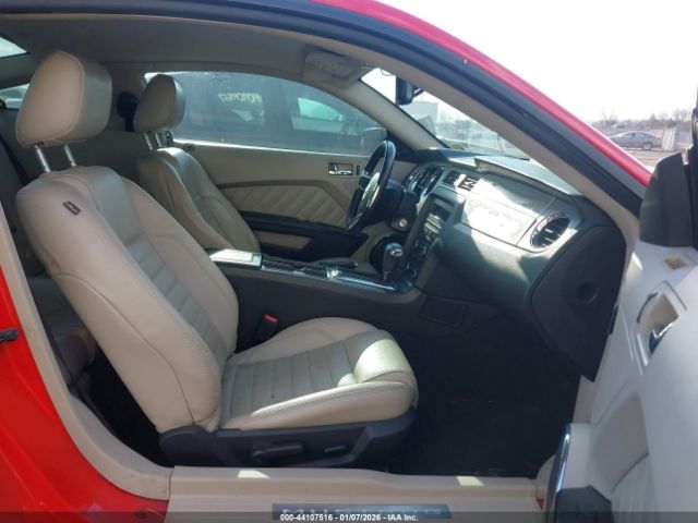 Ford Mustang Image 4