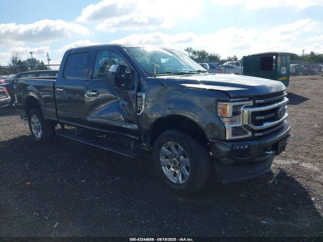 Ford F-250 Platinum Image 1
