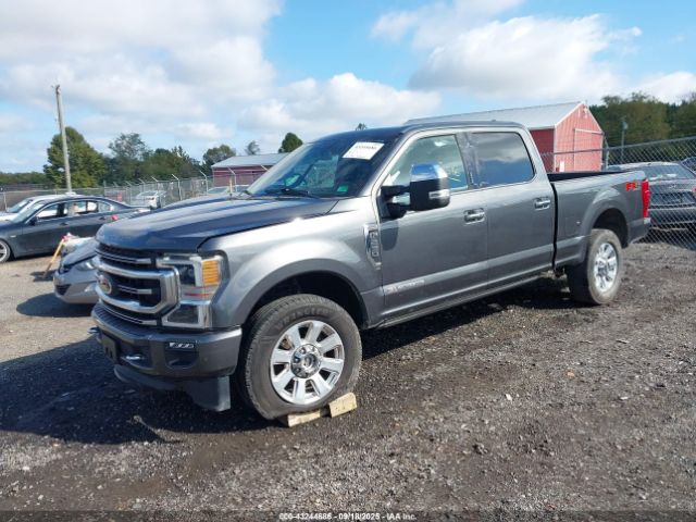 Ford F-250 Platinum Image 6