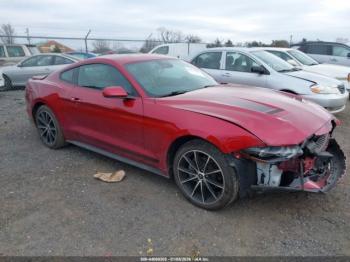  Salvage Ford Mustang