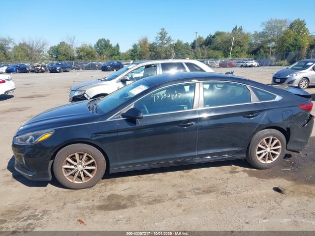 Hyundai SONATA Se Image 13