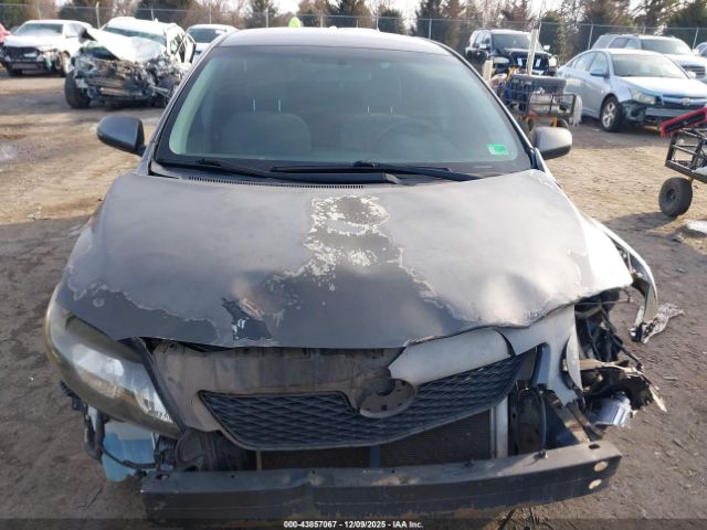 Toyota Corolla Le Image 6